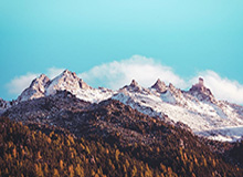 竞技宝- 骑士米切尔狂砍五十分，刷新队史单场得分纪录  